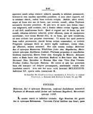 Hroznatova závěť (2)