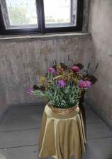 Květinová výzdoba Zámku Stvolínky