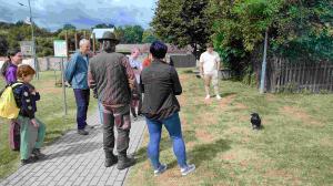 Ukázky sokolnictví